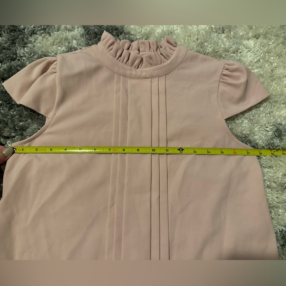 Ann Taylor | Blush Ruffle Blouse - Picture 9 of 9